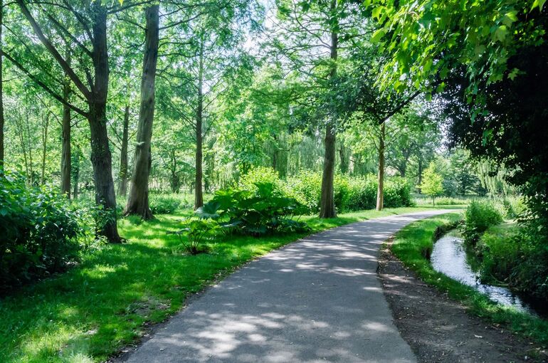 ルメディエ通信10月elly20160628400123_TP_V