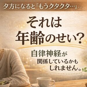 ChatGPT Image 2026年3月11日 10_51_33