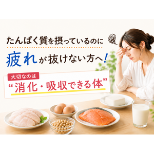 たんぱく質を摂っているのに疲れが抜けない