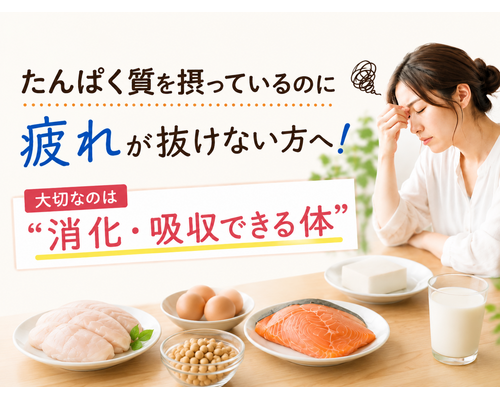 たんぱく質を摂っているのに疲れが抜けない