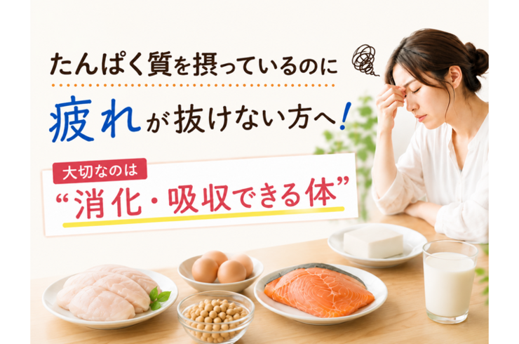 たんぱく質を摂っているのに疲れが抜けない方へ！大切なのは“消化・吸収できる体”