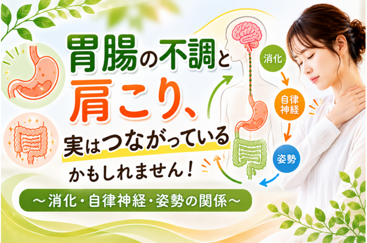 胃腸の不調と肩こり、実はつながっているかもしれません！〜消化・自律神経・姿勢の関係〜